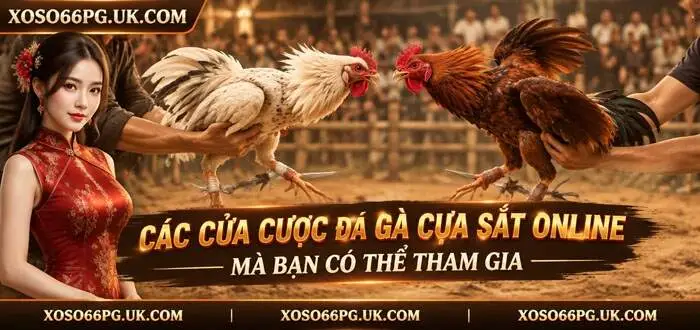 CÁC CỬA CƯỢC ĐÁ GÀ CỰA SẮT ONLINE MÀ BẠN CÓ THỂ THAM GIA