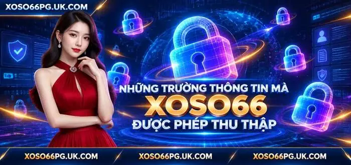NHỮNG TRƯỜNG THÔNG TIN MÀ XOSO66 ĐƯỢC PHÉP THU THẬP