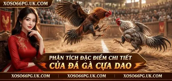 PHÂN TÍCH ĐẶC ĐIỂM CHI TIẾT CỦA ĐÁ GÀ CỰA DAO
