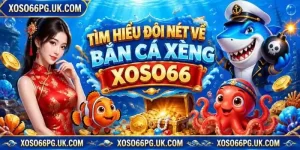 Bắn Cá Xèng